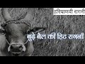 बूढ़े बैल की हिट रागनी Azad Singh Khanda Kheri Haryanvi Ragni Hi