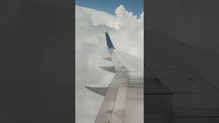 Delta Airlines 757-300 Flight 770 RSW to MSP 
