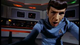 Where The White Boys Dance .. The Killers