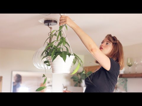 How to Install Swag Hooks to Hang Plants From the Ceiling- without a Stud Finder