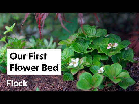 Planting Our FIRST FLOWER BED — Ep. 029