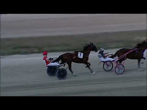 Napoli Trotto 08/09/2023 - prova di addestramento