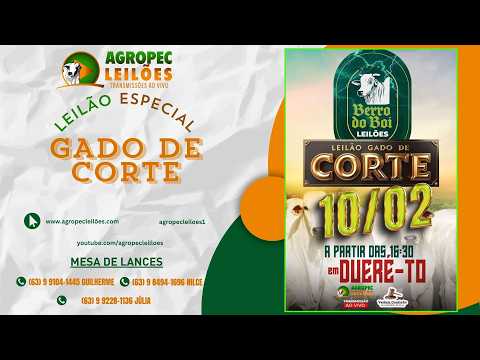 agropecleiloes.com - LEILÃO GADO DE CORTE | BERRO DO BOI LEILÕES - DUERÉ -TO 10/02/2026