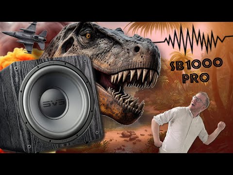 BIG BASS, SMALL BOX! | The Best Value Sub On The Market? | SVS SB1000 Pro Subwoofer Overview