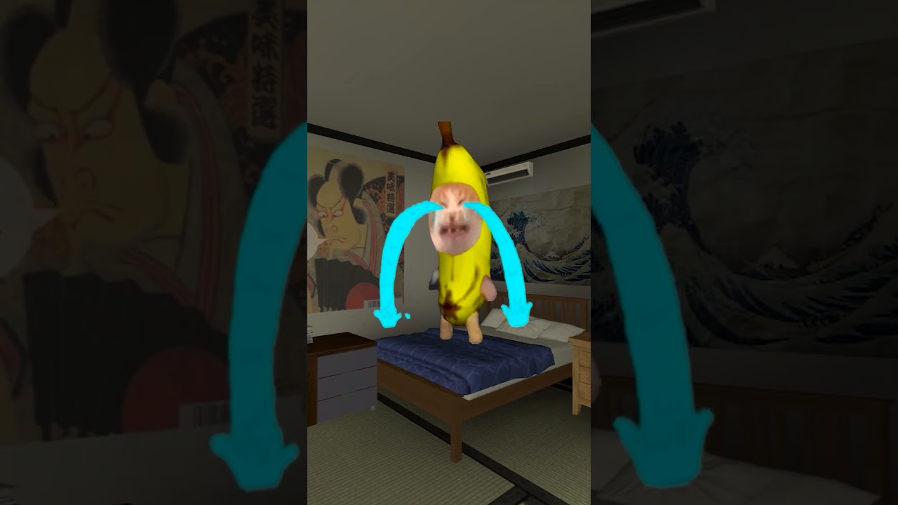 Bananacat and Secret Case #gmod 😸🍌