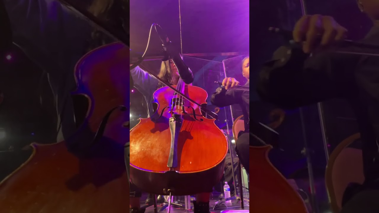 Promotional video thumbnail 3 for Strings Live Music
