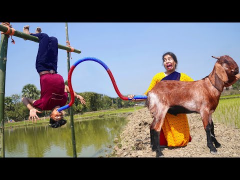 Must Watch New Comedy Video 😂 Amazing Funny Video 2024 Episode 144 By Fun Tv 420