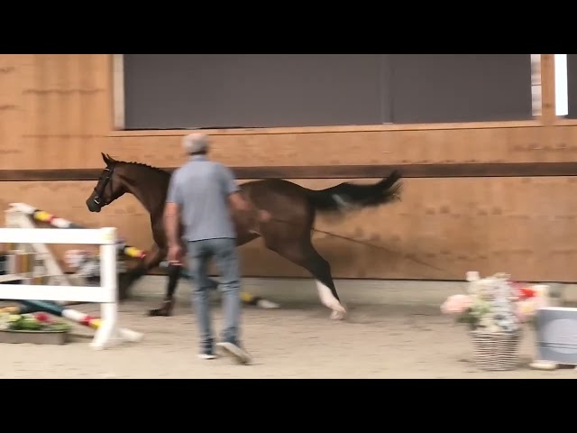 jumping