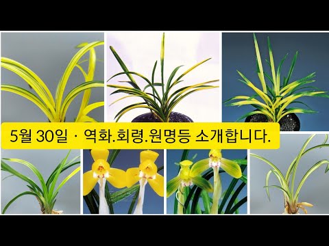 유튜브 썸네일