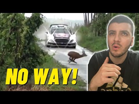 NASCAR Fan Reacts to Best Most Crazy Epic Rally Moments