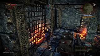 The Witcher 2  Assassins of Kings | Shot with GeForce