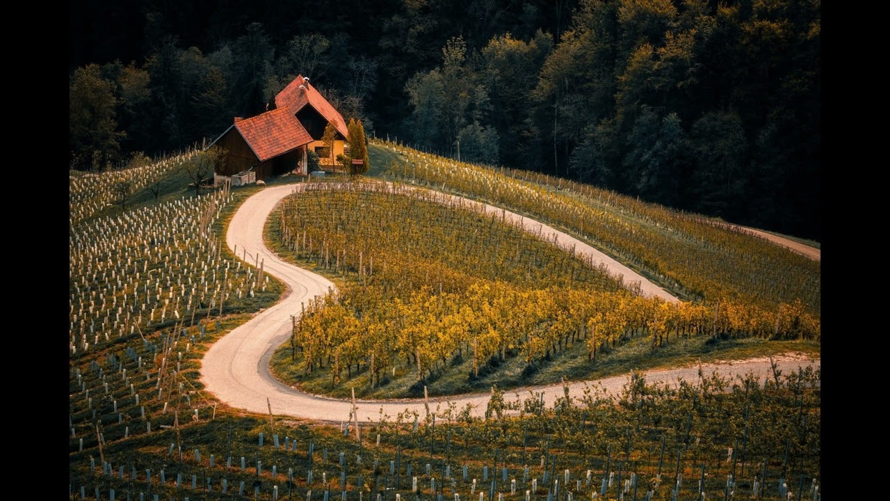 Waves of Calm, Morning songs for a positive day, Focus and Stress Relief.