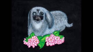 Guadalupe Plata - Perro de vieja