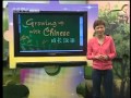 Growing up with Chinese - Lesson 12