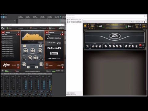 Peavey Valveking (Revalver IV) and Rosen Digital Cabinets
