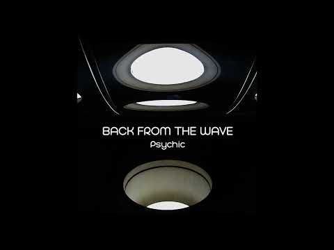 Back From The Wave - Corrosives Influences (Panthera Remix)
