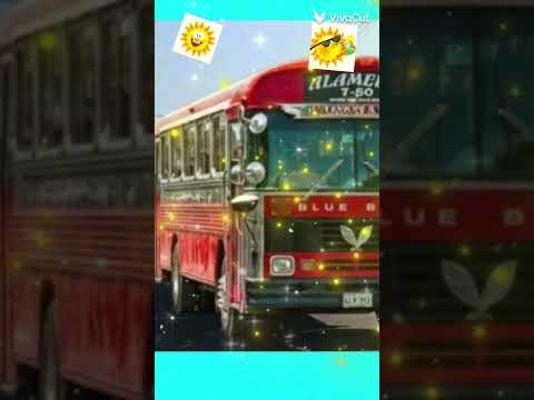 buses puerto san jose escuintla 🏖🏖