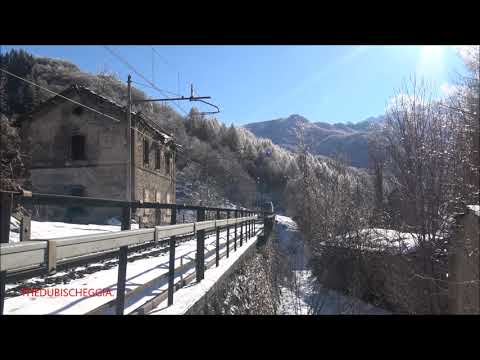 IL FISCHIO DEL MINUETTO D. IN TRANSITO A ROBILANTE. (CN) DOM. 14 - 2 - 2021.