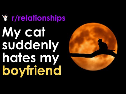 My cat suddenly hates my boyfriend