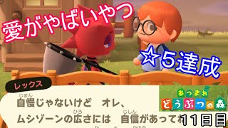 ストライクゾーンみたいに言うな。「あつまれ どうぶつの森」実況【１１日目】