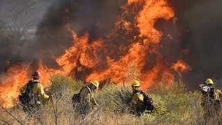 video: Tens of thousands evacuated as wildfires rage in California