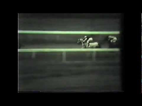 Jinete Guillermo Rivera - Hipodromo El Comandante