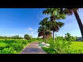 প্রকৃতির সৌন্দর্য Natural Video Nature Sabiha180 Village Episode 04 