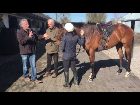 Un de Sceaux avec Willie Mullins en Irlande