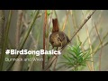 #BirdSongBasics - Dunnock and Wren