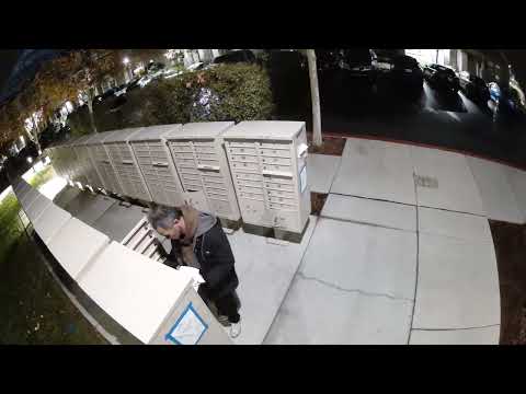 Partial Mailbox Theft 12/22/25 @ 3:34am 