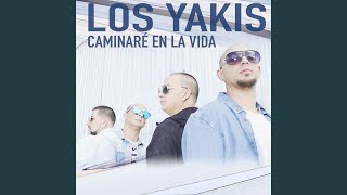 Caminaré En La Vida Lyrics English Translation