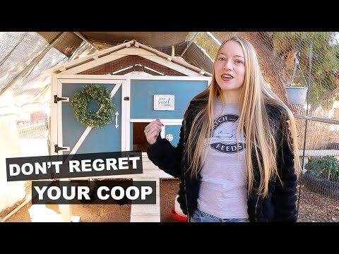 Chicken Coop Design MUST HAVES - Watch This Before Building a Coop