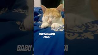 Download lagu Majikan sudah lapar mp3 Download lagu Majikan sudah lapar mp3