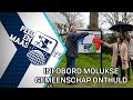 Infobord Molukse gemeenschap onthuld - 7 april 2023 - Peel en Maas TV Venray
