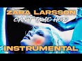 Zara Larsson - Can't Tame Her (Instrumental)