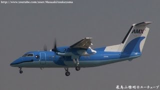 preview picture of video 'Amakusa Airlines (AMX) DHC-8-Q100 JA81AM landing @ Itami RWY32R [March 9, 2013]'