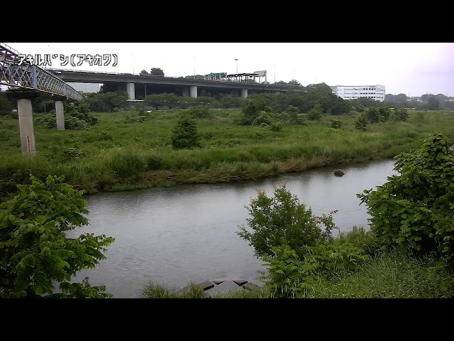 秋留橋映像監視局