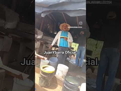 Las mercedes del llano🤠#Adrianjaramillo #juanybarraoficial #llaneros #venezuela #guarico #viral