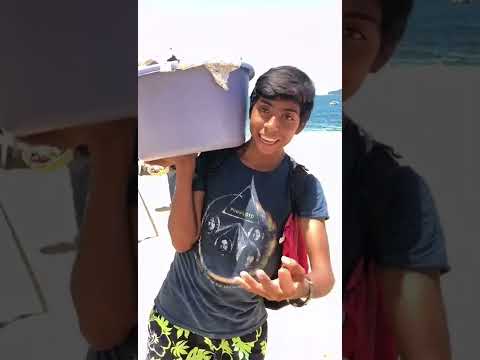 Tabasqueños Se Encuentran A Paco El De Las Empanadas Acapulco Marzo 2022 Clase De Combustible Yeah !