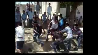 preview picture of video 'San Pedro Amuzgos Carnaval 2009  -  macho mula 2'