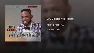 Dry Bones Are Rising - Chris Shalom