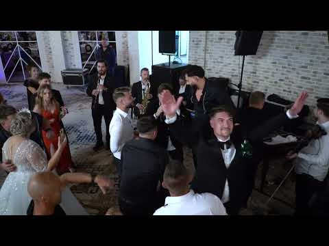 Leo de la Rosiori - E mult,E greu ( Nunta Raluca & Raphael) | Live 2025