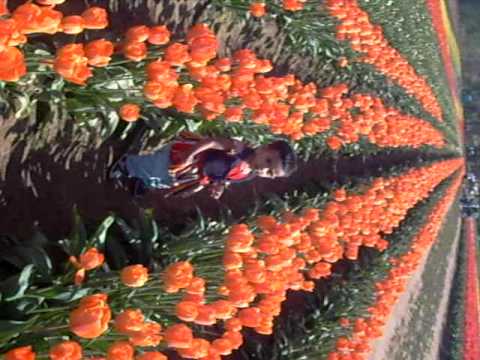 Kiranmayi Catwalk at Tulip Festival 2009 - Part2-Portland,Oregon