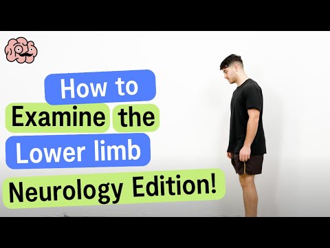 Lower Limb Neurological Examination - OSCE Guide | UKMLA CPSA | PLAB