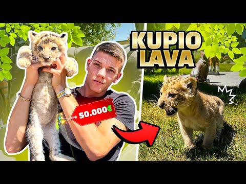KUPIO SAM LAVA ! *napao me*