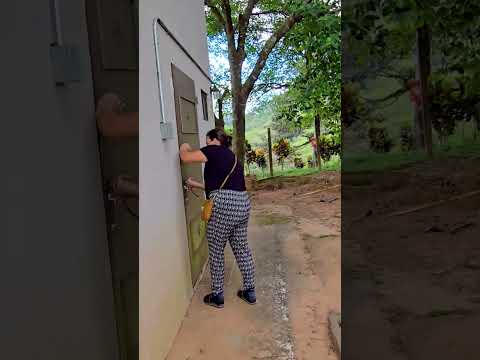 Reserva Forestal El Montuoso, Chepo, Provincia de Herrera, Las Minas, Panama