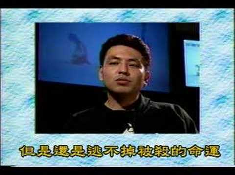 Fushigi Yuugi Voice Hikaru Midorikawa