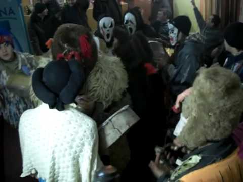 Sacadaii de la Netezi City