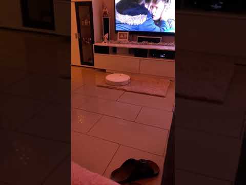 Saugroboter Dreame F9 im Einsatz