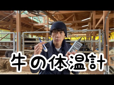 , title : '牛のオススメ体温計はコレだ！'